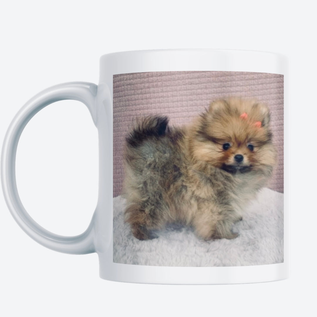 Mug photo prénom animal – Empreinte de chien
