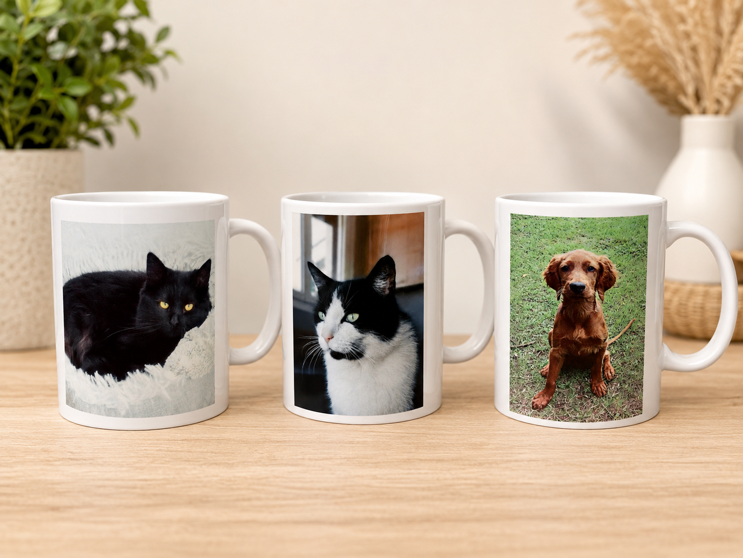 Mug photo prénom animal – Empreinte de chat
